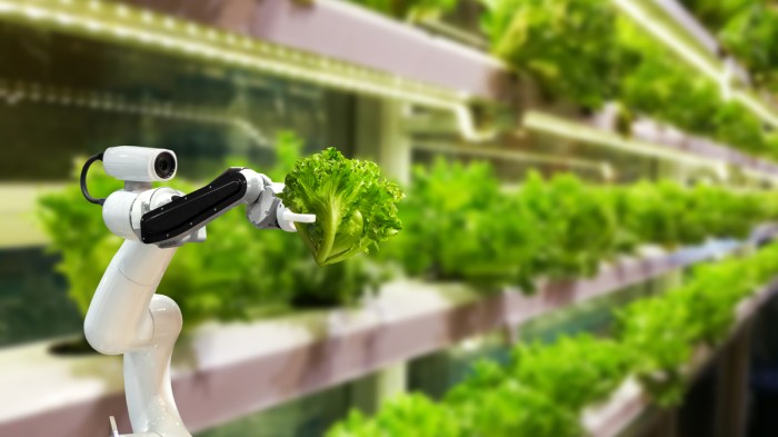 Revolusi teknologi pertanian yang meningkatkan produktivitas pangan