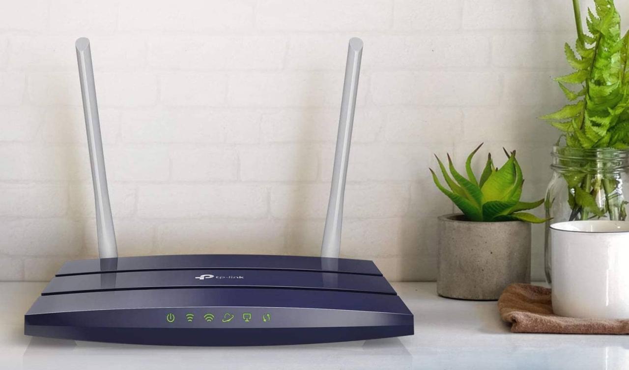 Router 100mbps felt