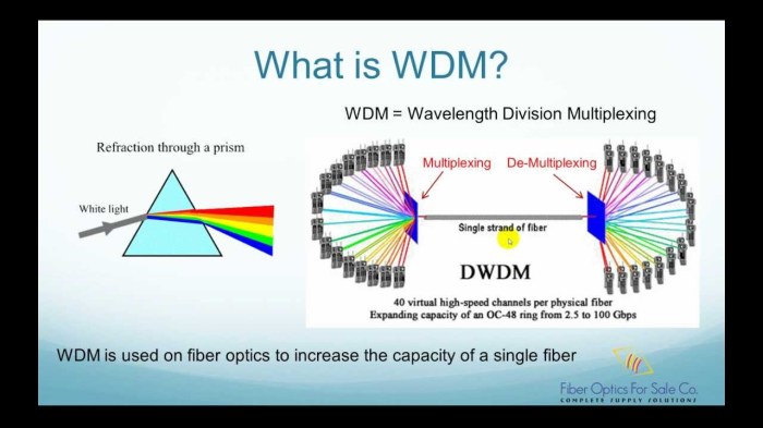 Wdm multiplexing division wavelength optic amplifiers